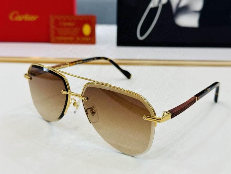 Cartier Sunglasses 697